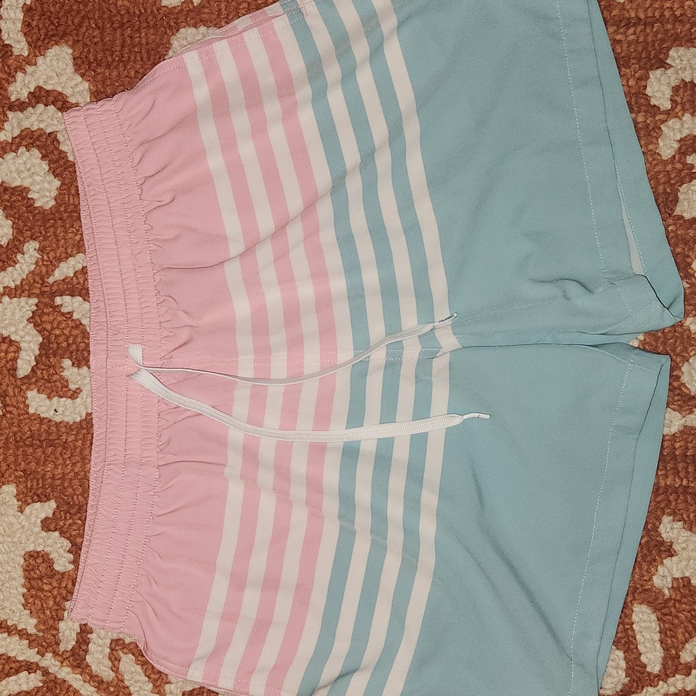 Chubbies The On The Horizons swim shorts.